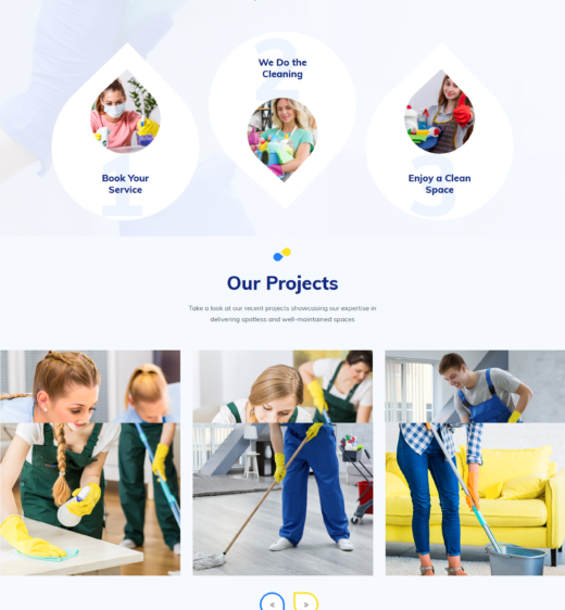 AlphaIn Cleaning WordPress Website Design