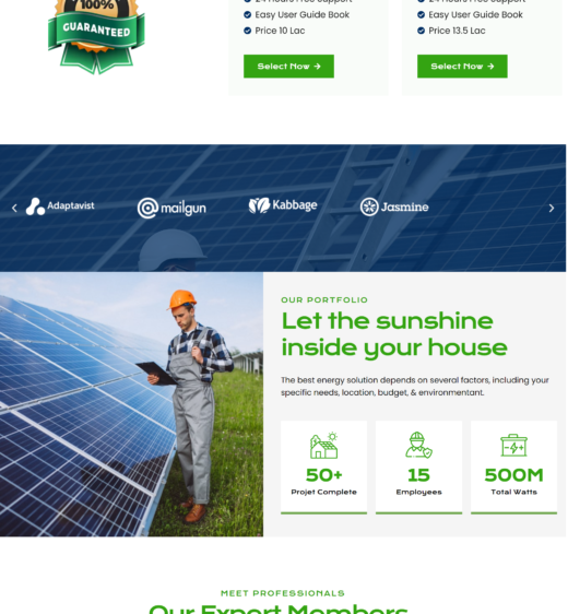 Beesol Energy Website Design