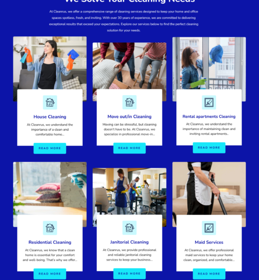 Professional Cleaning Website Design