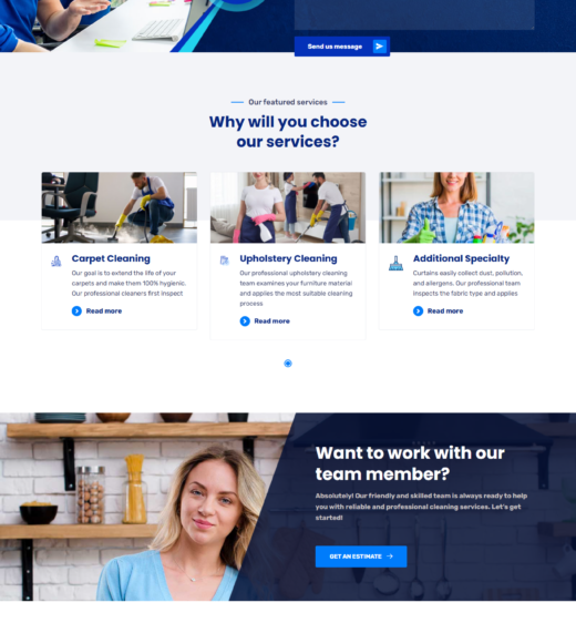 Max Cleaning WordPress Website Design