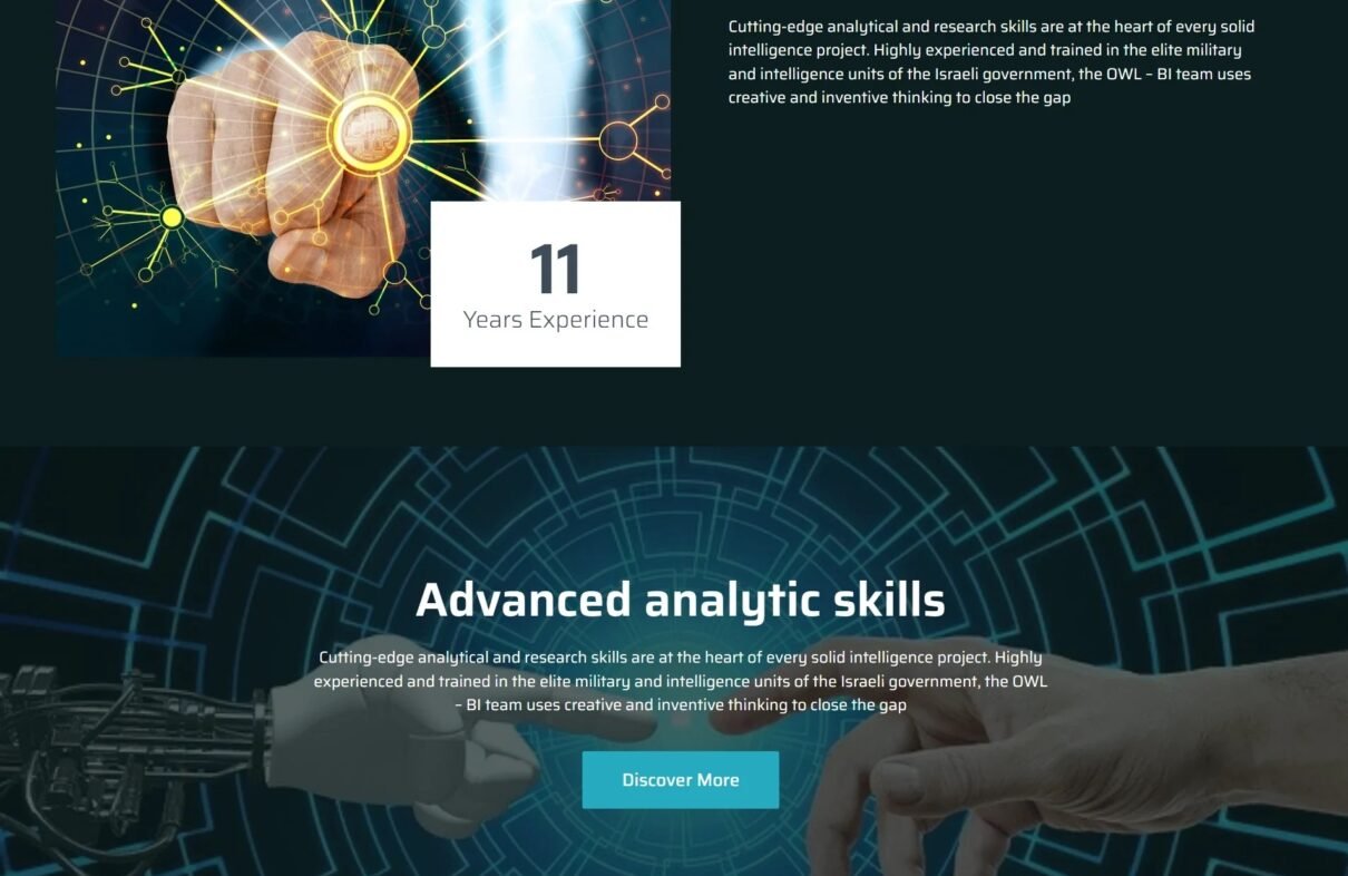 Owl SS Investigation Services Website