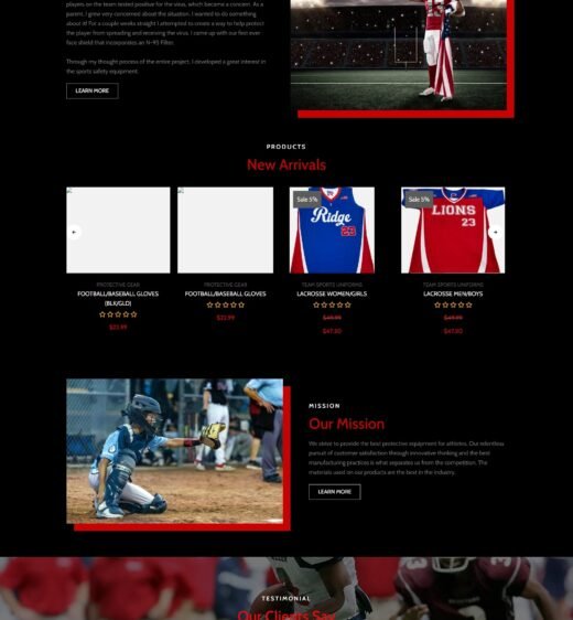 WordPress website developer creating professional and responsive business websites