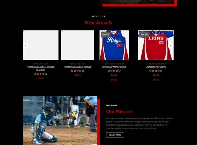 WordPress website developer creating professional and responsive business websites