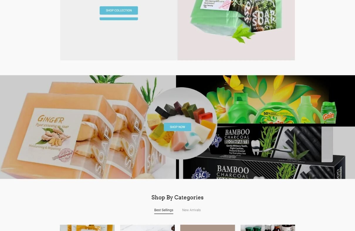 WordPress Website Developer and Design Services