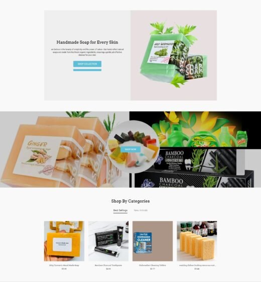 WordPress Website Developer and Design Services