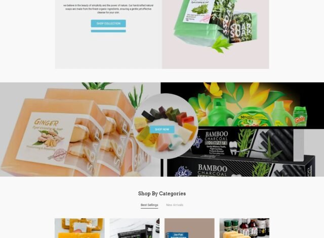 WordPress Website Developer and Design Services